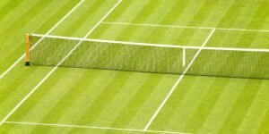 What is Roger Federer's favorite tennis surface? Mister Sporty