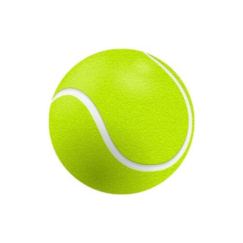 tennis icon mister sporty